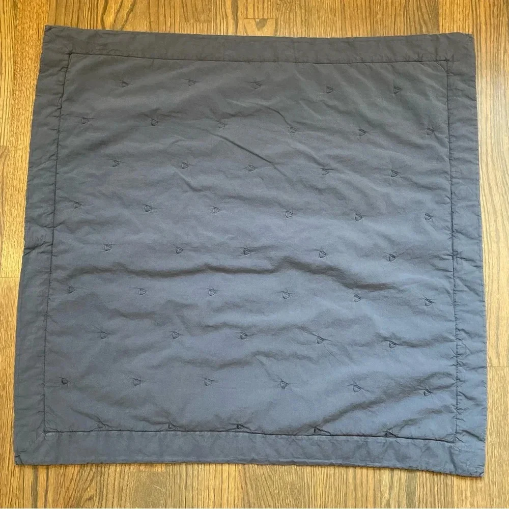 Pottery Barn Set of 2 Cotton Euro Shams